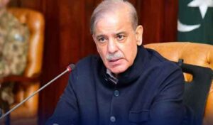 پمز اسپتال میں کوئی بھی چیز عالمی معیار کی نہیں، سانحہ پمز کی رپورٹ وزیراعظم کو پیش